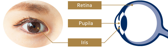 Reconocimiento de Iris Autenticación biométrica NEC