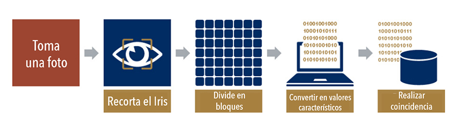 Reconocimiento de Iris Autenticación biométrica NEC
